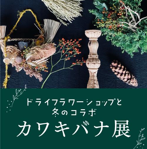 【冬の特別コラボ】nest × HARUICHI STYLE カワキバナ展